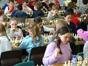 ddos在线攻击平台